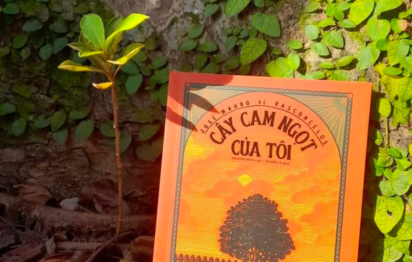 Hình ảnh cuốn sách "Cây cam ngọt của tôi"