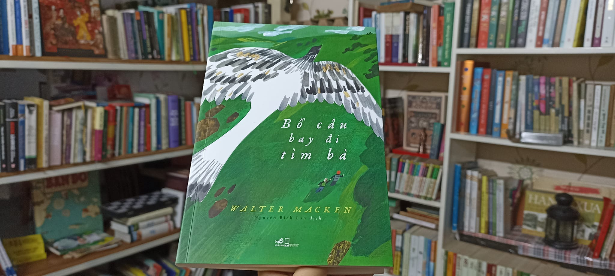 REVIEW "BÁ CHỦ CÂU BAY ĐI TÌM BẠN" – WALTER MACKEN