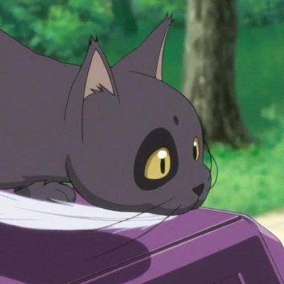 Top 14 chú mèo đáng yêu nhất đã làm mê hoặc trái tim của fan manga và anime