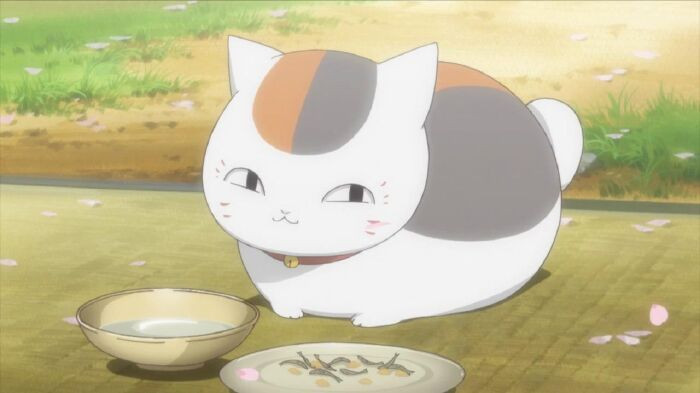 Top 14 chú mèo đáng yêu nhất đã làm mê hoặc trái tim của fan manga và anime