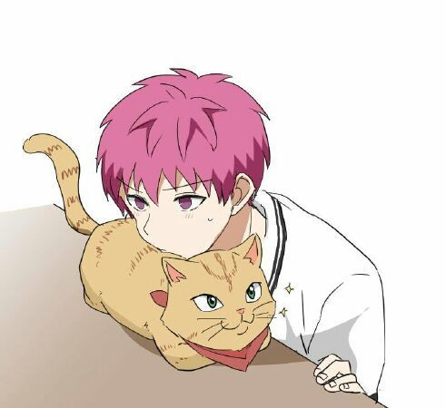 Top 14 chú mèo đáng yêu nhất đã làm mê hoặc trái tim của fan manga và anime