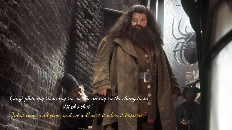 25+ trích dẫn hay, câu nói truyền cảm hứng của các nhân vật Harry Potter