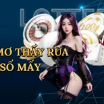 Nằm mơ thấy rùa đánh số mấy