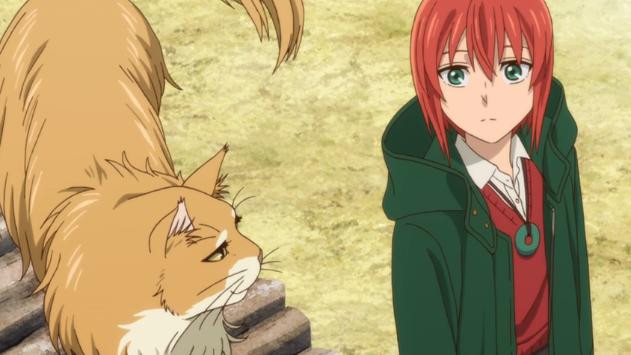 Top 14 chú mèo đáng yêu nhất đã làm mê hoặc trái tim của fan manga và anime