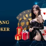 Xếp hạng bài poker