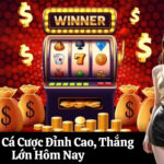 77ball Cá Cược Đỉnh Cao, Thắng Lớn Hôm Nay