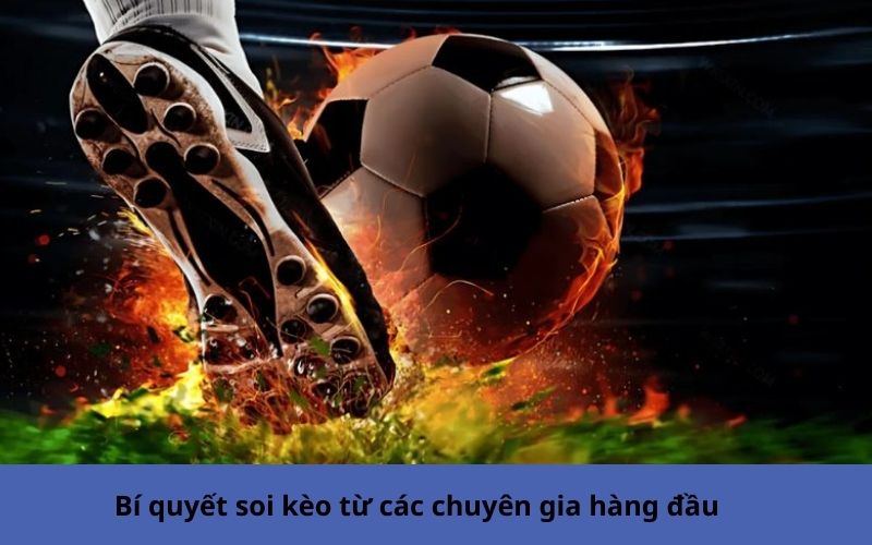 Bí quyết soi kèo từ các chuyên gia hàng đầu