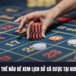 Làm Thế Nào Để Xem Lịch Sử Cá Cược Tại Kubet11