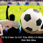 Tỷ Lệ Cược Là Gì? Tìm Hiểu Cơ Bản Cho Người Mới Bắt Đầu