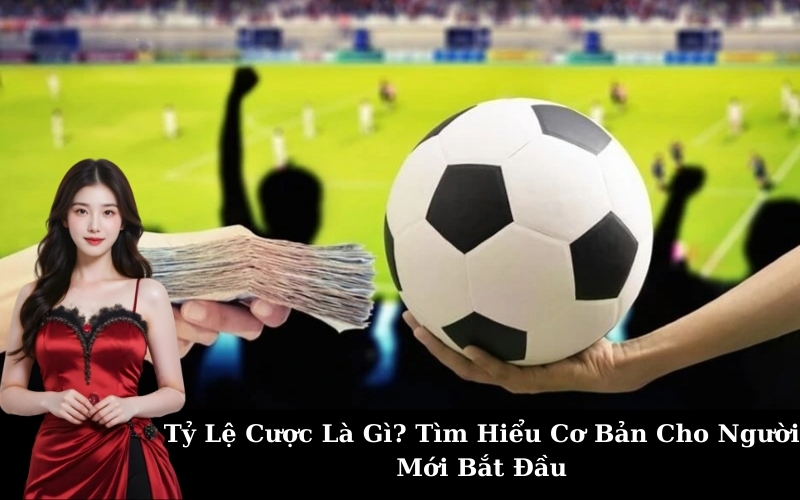 Tỷ Lệ Cược Là Gì? Tìm Hiểu Cơ Bản Cho Người Mới Bắt Đầu