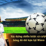 Xây dựng chiến lược cá cược bóng đá dài hạn tại Winvn