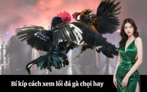 Giữa Lãnh Xã Hội Hiện Đại, Người Ta Rẽ Tai Nhau Rằng: “Đàng Đi Theo Cái Bóng Chính Mình Nếu Nó Sống Dậy”