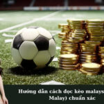 Hướng dẫn cách đọc kèo malaysia (Odds Malay) chuẩn xác