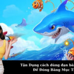 Tận Dụng cách dùng đạn băng bắn cá Để Đóng Băng Mục Tiêu