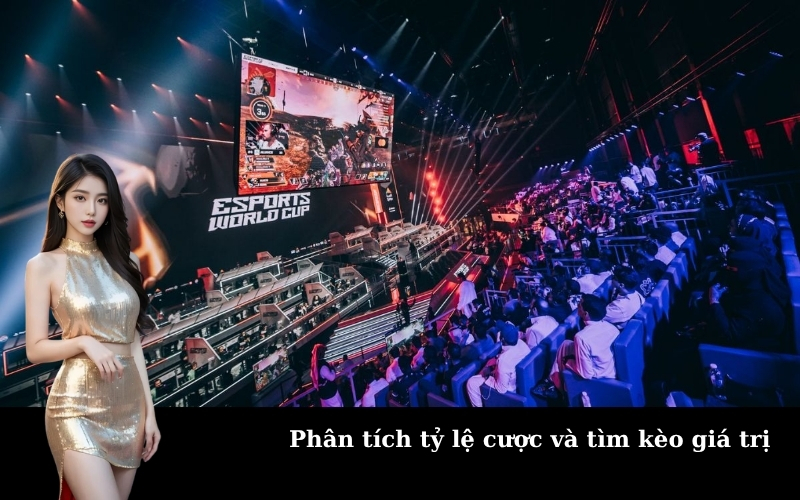 Phân tích tỷ lệ cược và tìm kèo giá trị